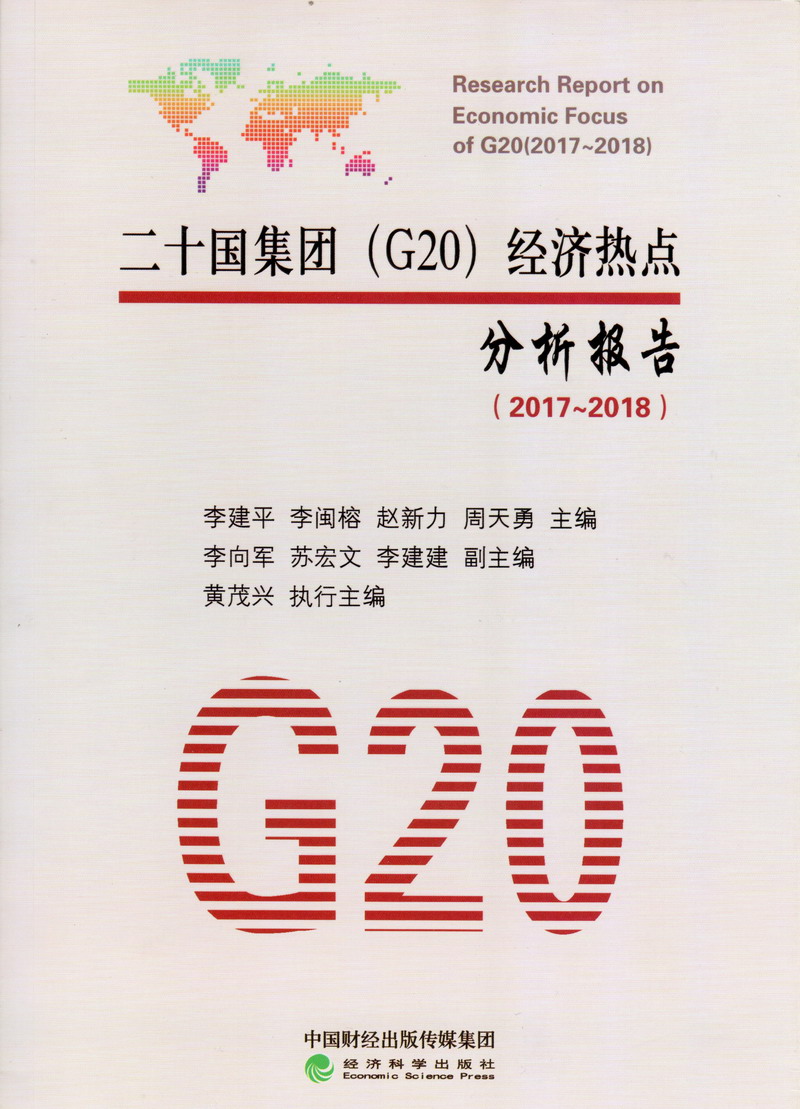 正在播放多嫩的逼二十国集团（G20）经济热点分析报告（2017-2018）