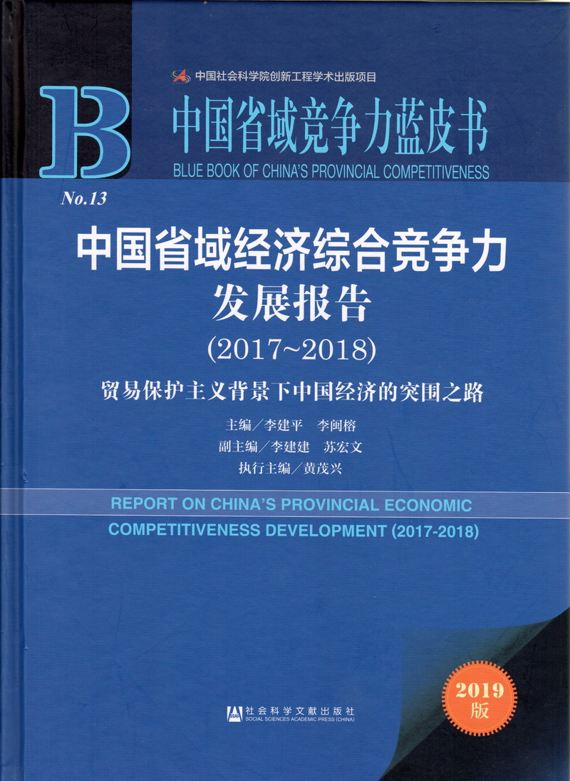 抽插姪女嫩穴视频中国省域经济综合竞争力发展报告（2017-2018）