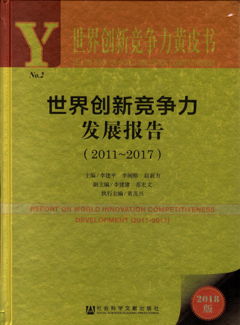 好想要快来插我视频世界创新竞争力发展报告（2011-2017）